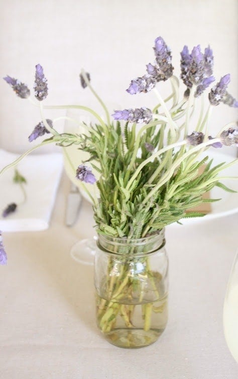 simple and beautiful brunch | lavender and lemonade