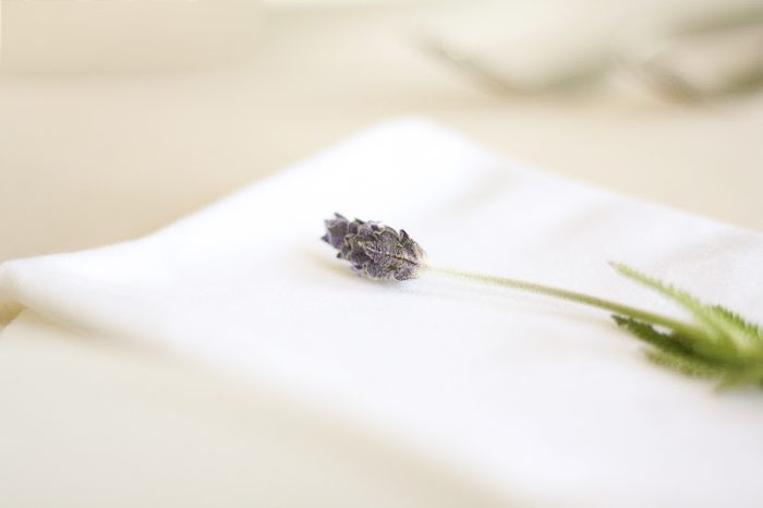 simple and beautiful brunch | lavender and lemonade
