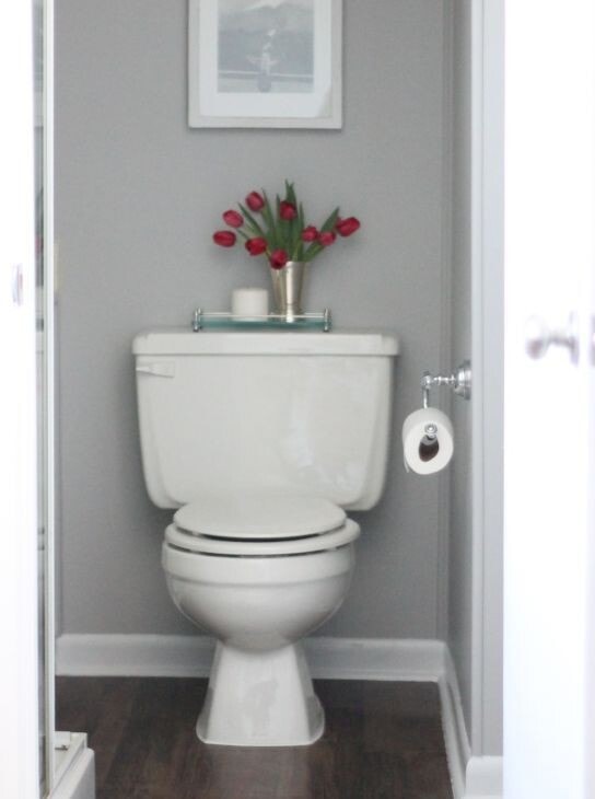 A white toilet with a vase of red flowers on top.