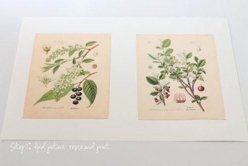 How to Make Your Own Botanical Prints | Julie Blanner