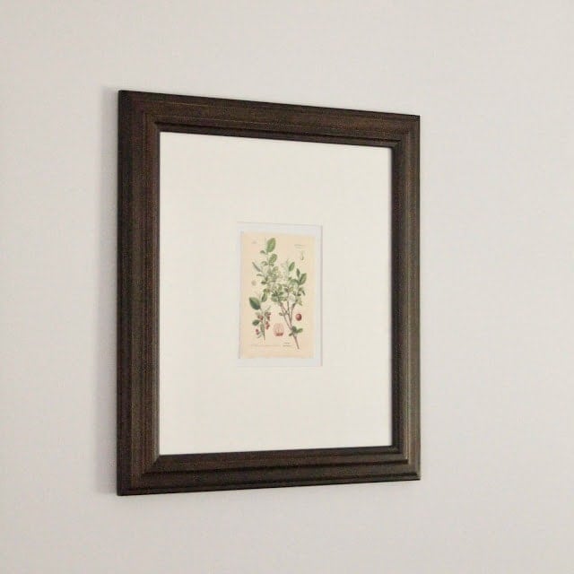 A vintage inspired botanical print inside a wooden frame hanging on a white wall