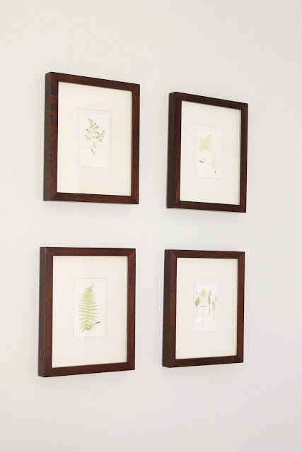 Four vintage inspired botanical art prints on a white wall, framed in dark wood frames.