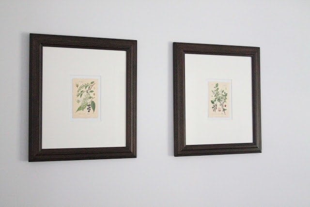 DIY Botanical Art Prints