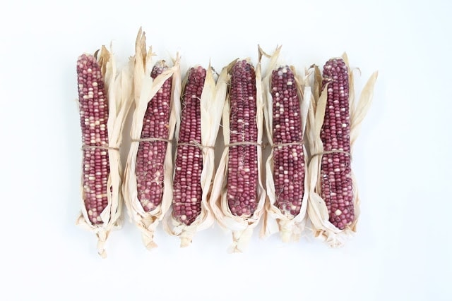 Dried corn on a white surface