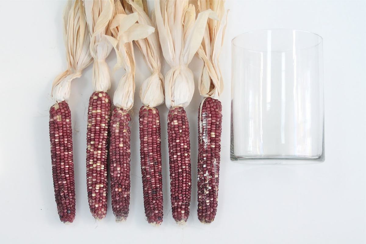 Dried corn laid out by a cylinder vase on a white surface