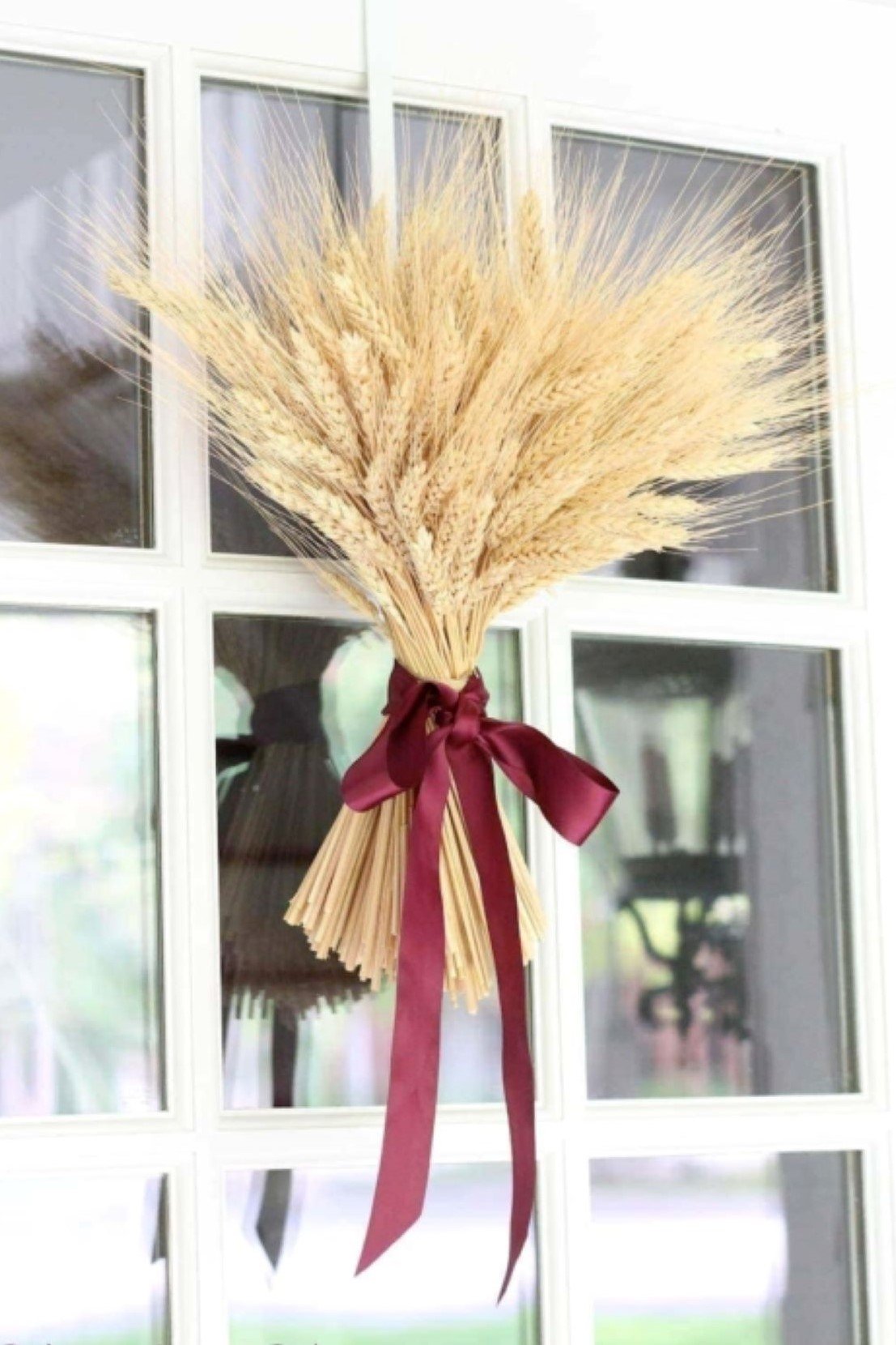 A wheat sheaf hanging on a glass paned front door, tied with burgundy ribbon