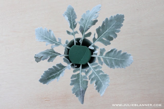 Green leaves in floral foam