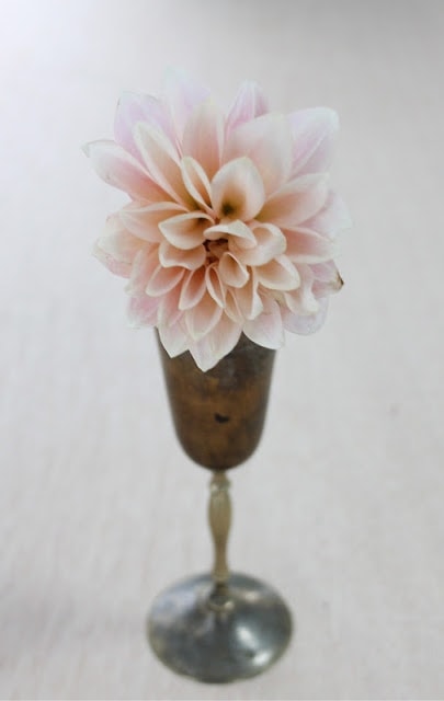 A gold vase with a pink flower inside
