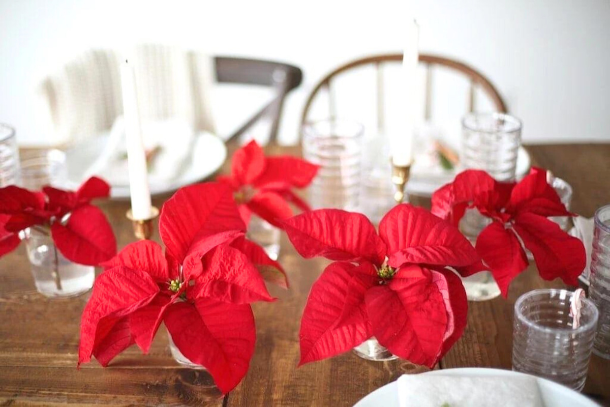 A festive Christmas centerpiece, adorned with red poinsettias and candles.