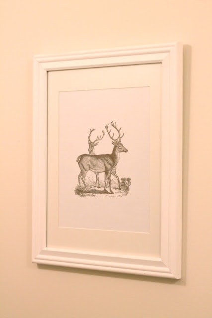 A framed picture of deer