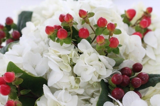 Light and dark red berry accents in white flowers.
