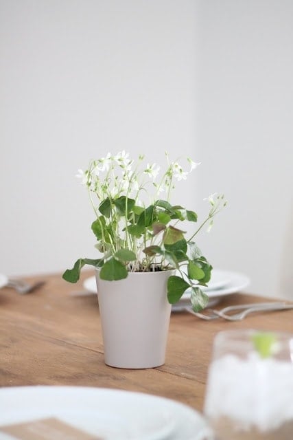 A vase of flowers sitting on a table