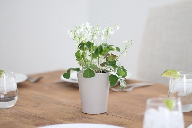 A vase of flowers sitting on top of a wooden table