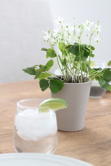 A vase of flowers on a table