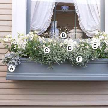 Window Planter Boxes