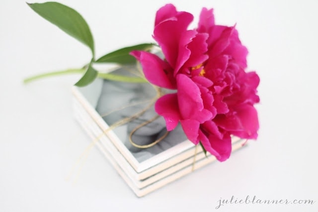 A close up of a flower on top of photo coasters.