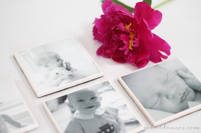 A close up of a flower next to photo coasters.