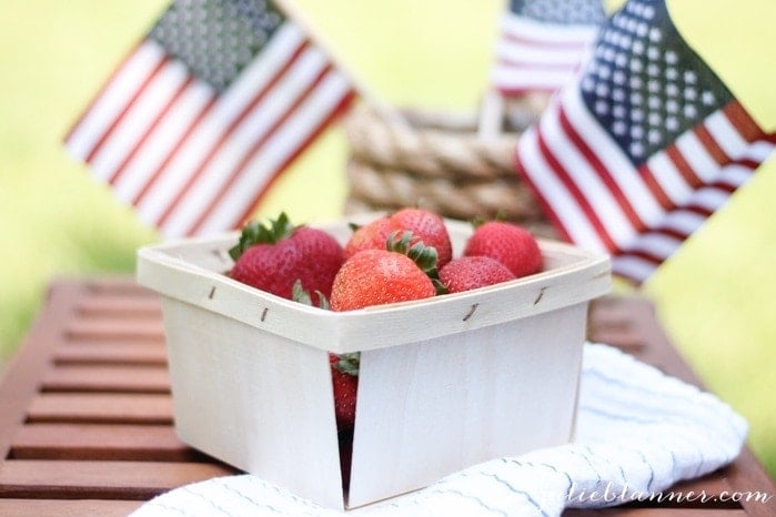 4th of july party-2