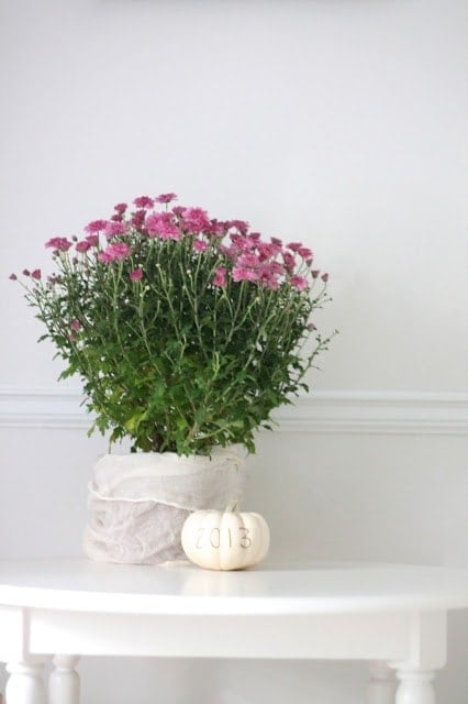 A vase of flowers on a table with a small pumpkin next to it