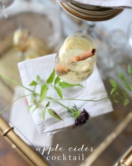 fall signature drink | apple cider cocktail