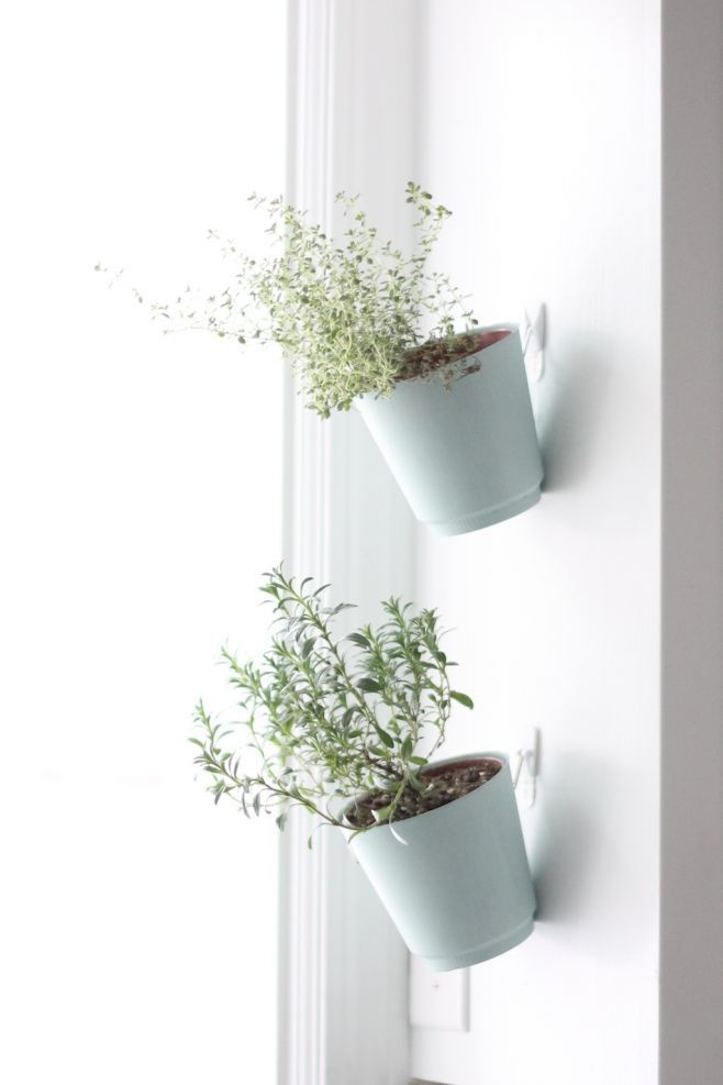 herbs hanging in planters on command hooks