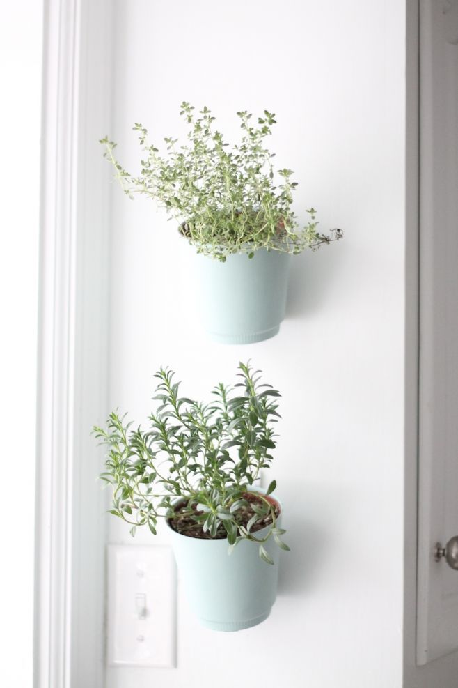 vertical wall garden of herbs on side of kitchen cabinets