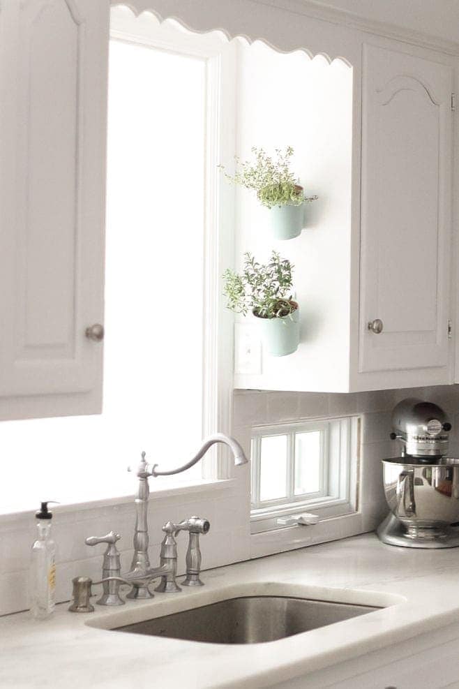 white kitchen with hanging wall garden