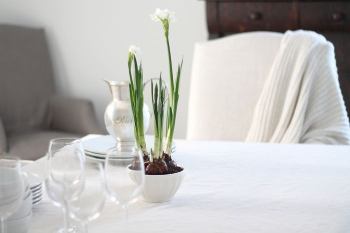 neutral winter table setting with potted paperwhites