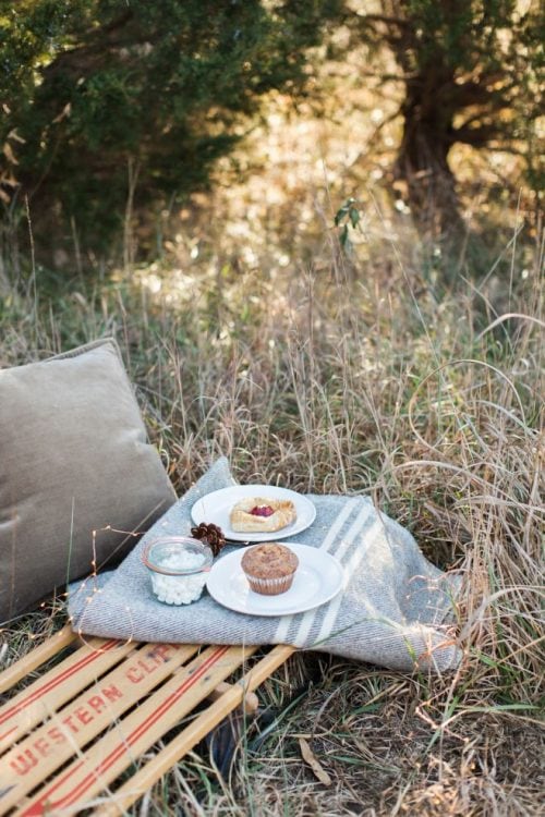 Valentine's Day Picnic Julie Blanner