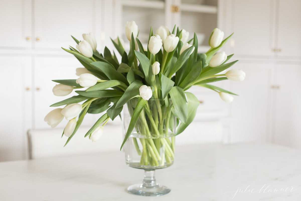 How to Arrange Tulips in a Vase | Julie Blanner