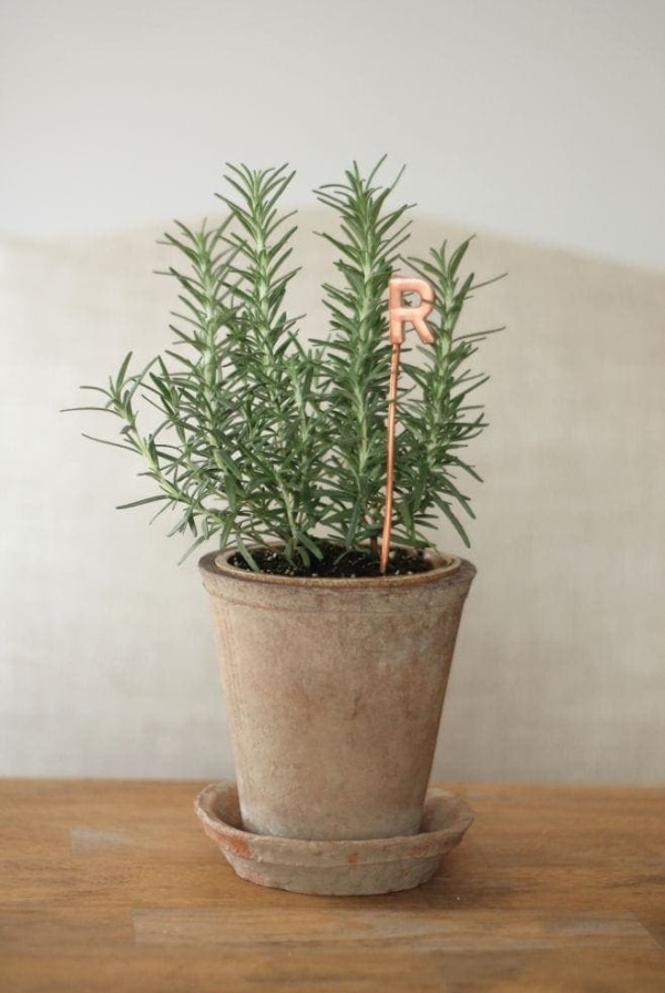 hostess gift plant with copper marker