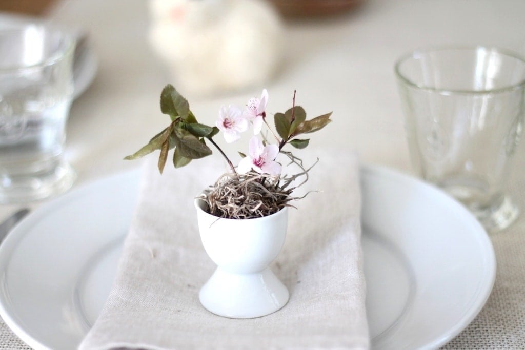 Simple Easter decorating ideas - flowers in an egg cup