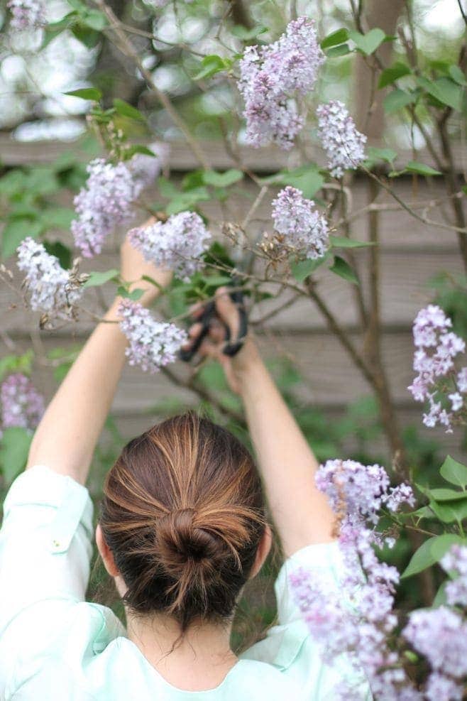 a simple, statement-making lilac bouquet, DIY