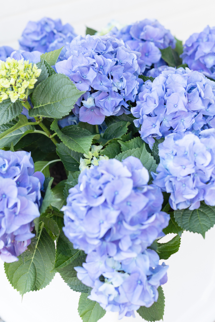 Spring Porch | Julie Blanner