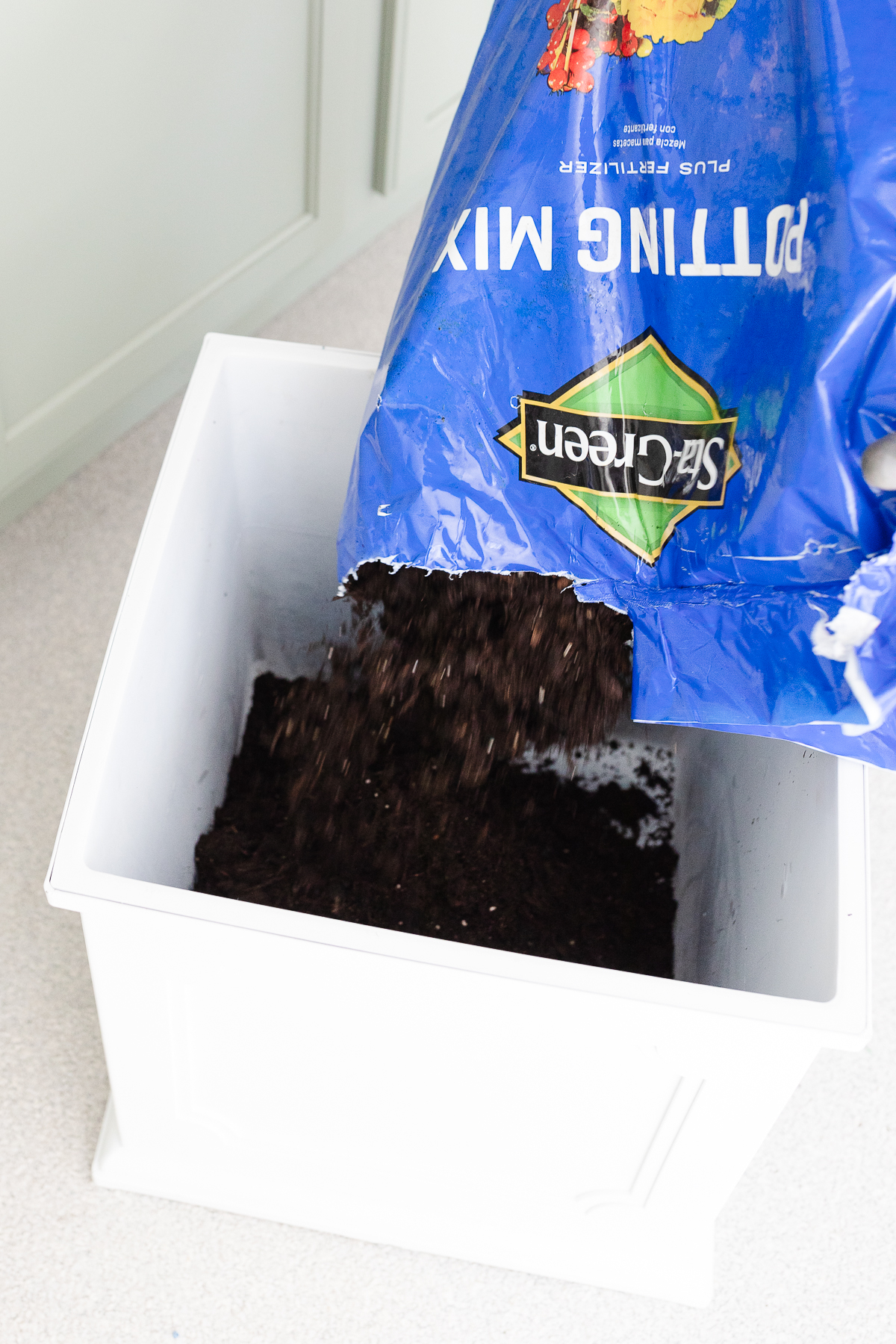 A blue bag of potting soil being poured into a square white spring planter box.