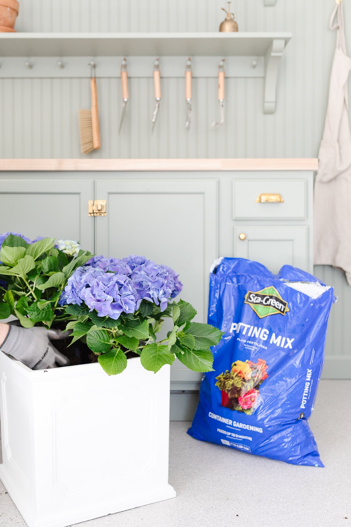 A green potting bench with a white planter and spring blue potted hydrangeas.