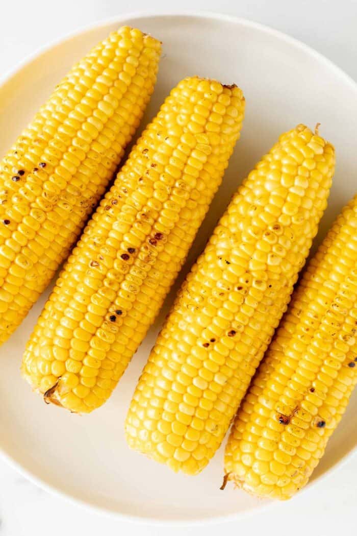 Grilled sweet corn on a white plate.