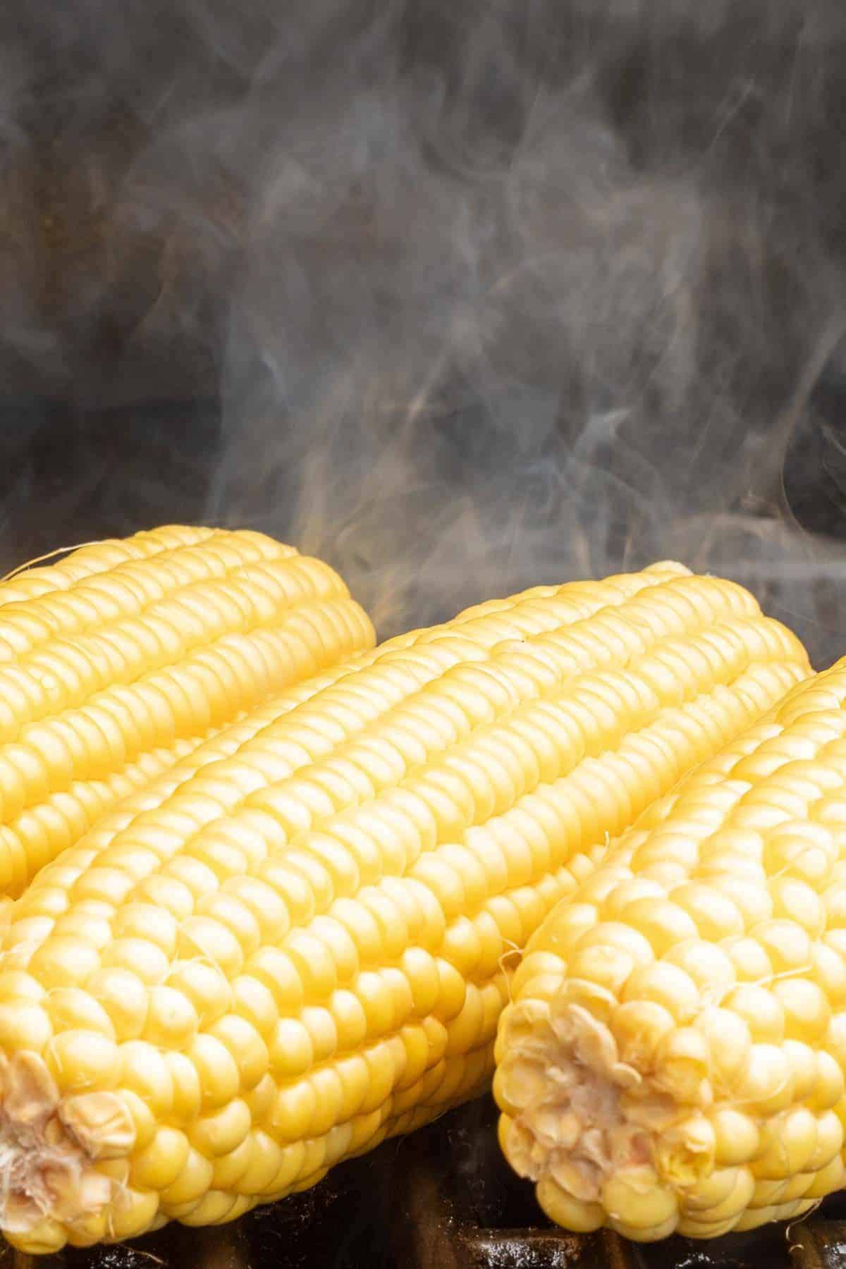 Grilled corn on the cob on a hot grill, smoke rising between the ears.