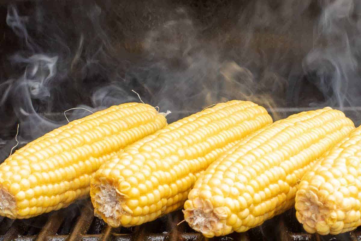 Grilled sweet corn on a hot grill, smoke rising between the ears.