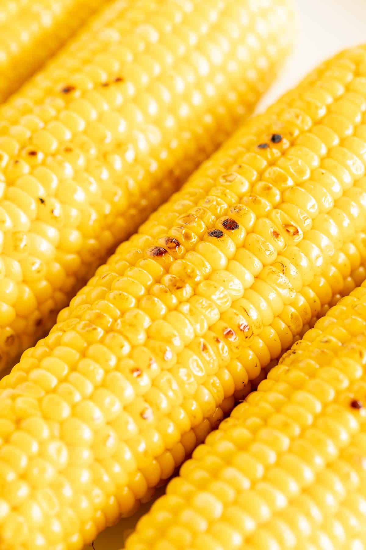 3 ears of grilled sweet corn close-up.