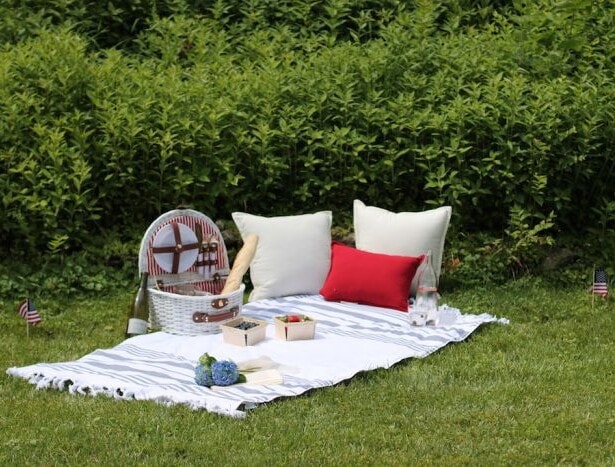 Fourth of July picnic ideas