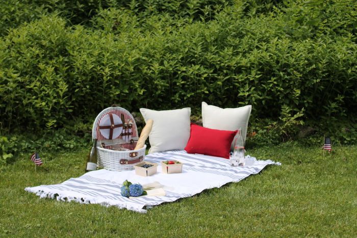 Fourth of July picnic ideas