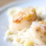 How to cook scallops - incredible seared in flavor in minutes