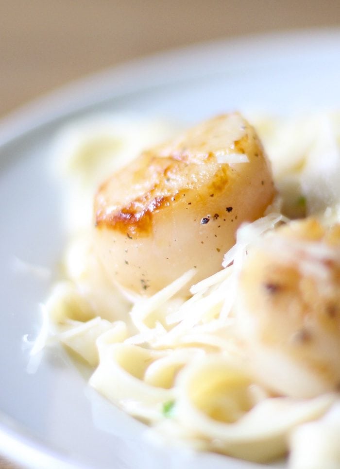 Learn how to cook scallops like a pro - searing them in under 6 minutes! A few simple instructions to make cooking scallops a breeze.