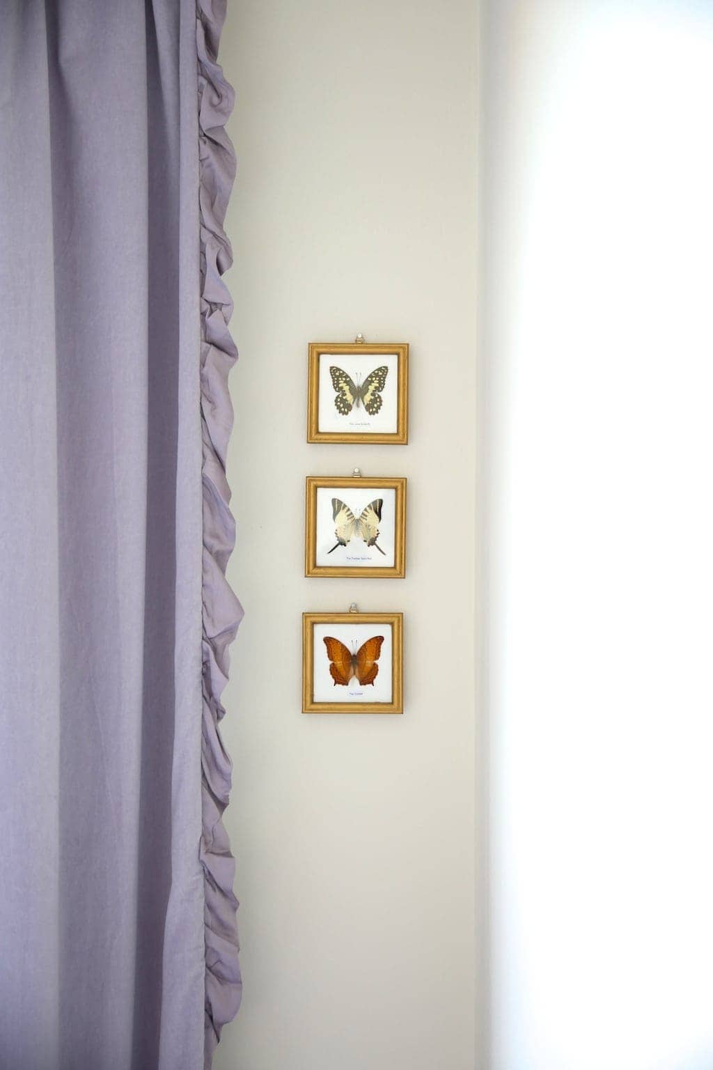 Three small butterflies framed in frames that are aged gold with rub n buff, next to a lavender curtain panel.