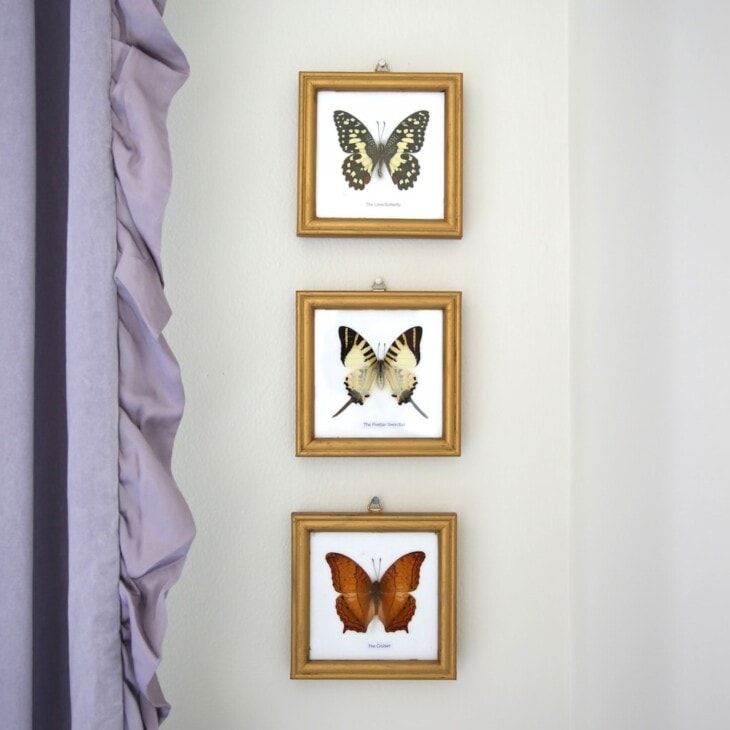 pretty butterfly art for a big girl bedroom