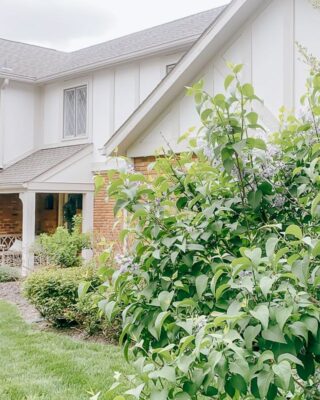 The Best Paint Colors for your Home | Julie Blanner