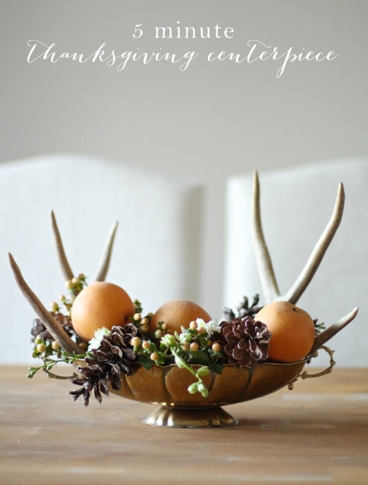 DIY Thanksgiving Centerpiece Julie Blanner   5 Minute Thanksgiving Centerpiece 730x961 