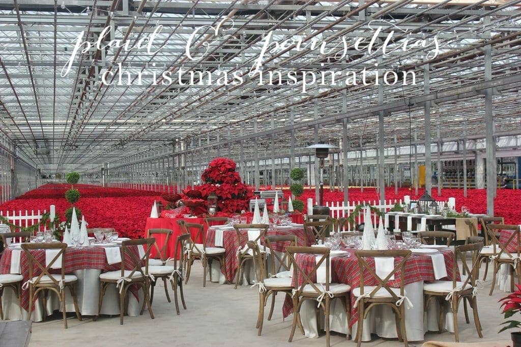 Plaid & Poinsettias Party | Christmas Inspiration