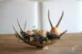 DIY Thanksgiving Centerpiece | Julie Blanner